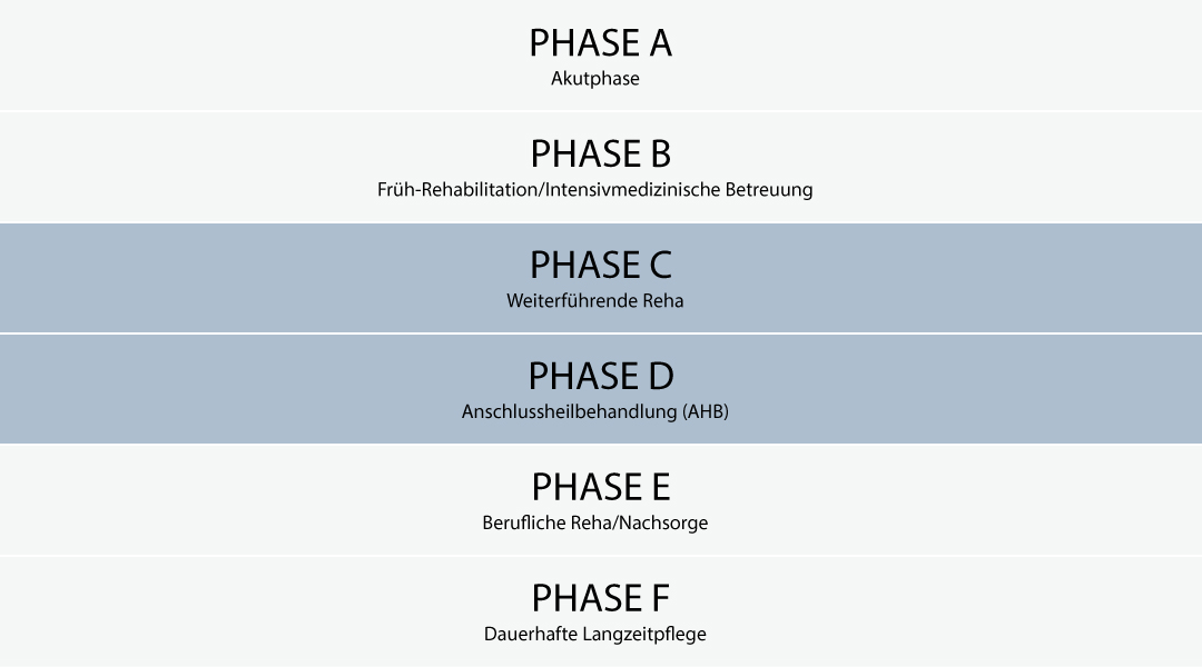 Neurologie Phasen-Model